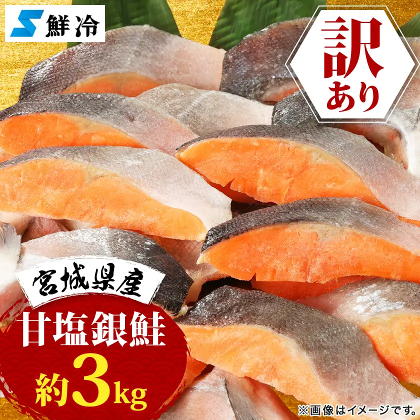 訳あり 宮城県産　銀鮭　切身　甘塩　約3kg　国産/三陸　女川町【配送不可地域：離島】【1641035】