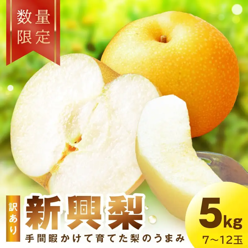 【先行予約／数量限定100】訳あり 新興梨　5kg（2026年10月中旬～発送） ふるさと納税 訳あり フルーツ くだもの 国産 梨 新興梨 わけあり 訳有り ワケアリ 2026年 先行予約 ふるさと納税 梨