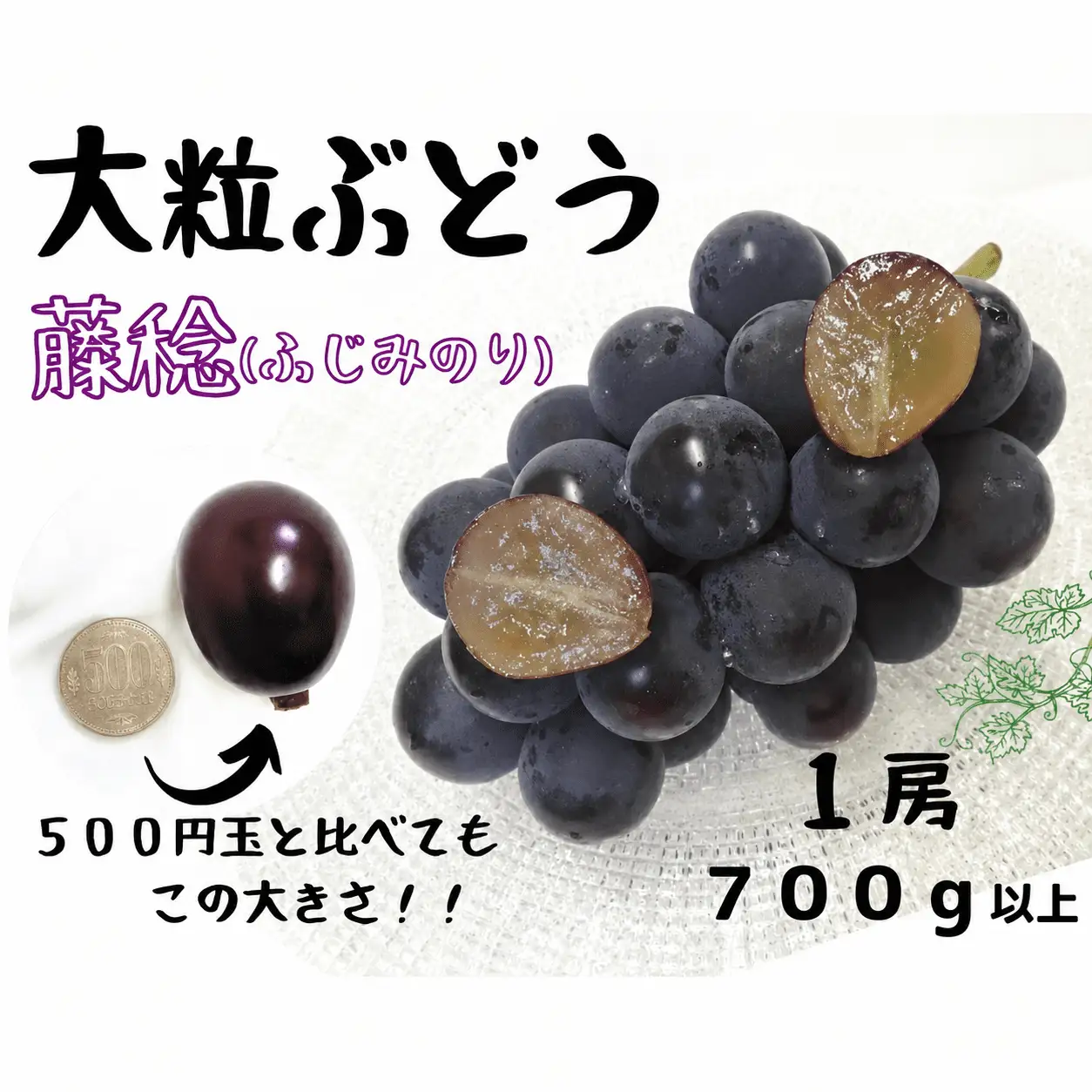 【 厳選品 】※2027年の予約です！※ 大粒希少品種　藤稔 1房700g以上! 【2027年8月下旬～発送予定】離島発送不可 / 数量限定 ぶどう 葡萄 先行予約 フルーツ 果物 藤稔 ふじみのり 新鮮 当日出荷 贈答 希少 新鮮 当日出荷 林ファミリー 真庭市【hfbd014-03】