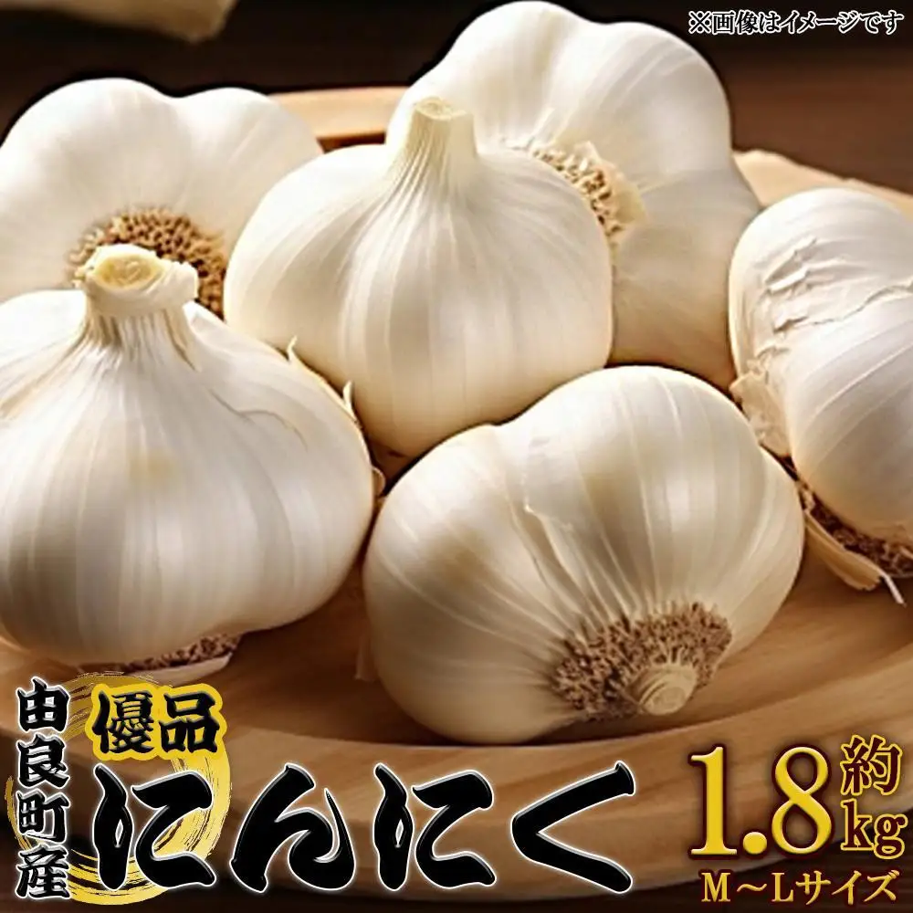 ［先行予約］由良町産にんにく 優品 約1.8kg(900g×2／M～Lサイズ)【SL18】