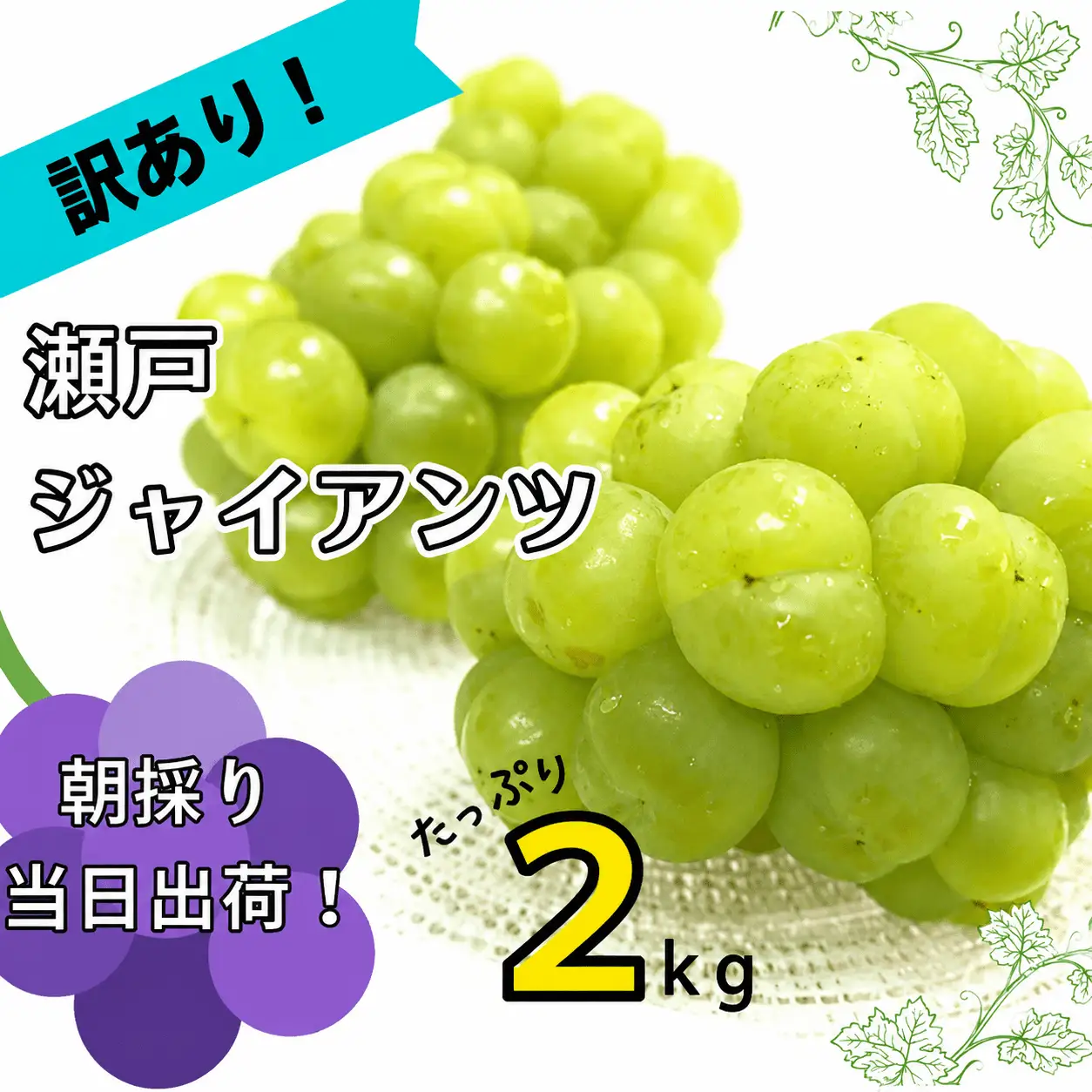 ぶどう 瀬戸ジャイアンツ 2kg 訳あり【2026年発送】岡山県産【hfbd012-02】