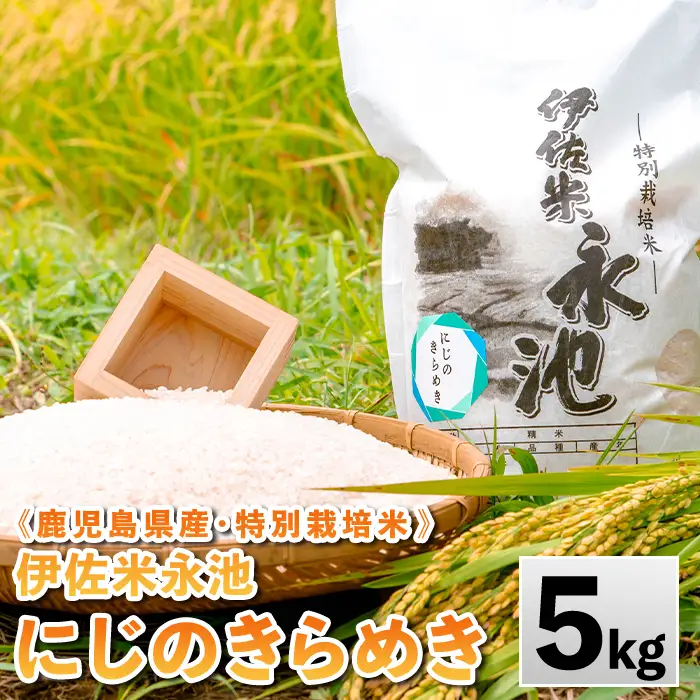 isa745 《数量限定》令和7年産 特別栽培米 伊佐米永池 にじのきらめき(5kg) 伊佐市 永池 特産品 お米 米 白米 精米 伊佐米 にじのきらめき 5kg 【エコファーム永池】