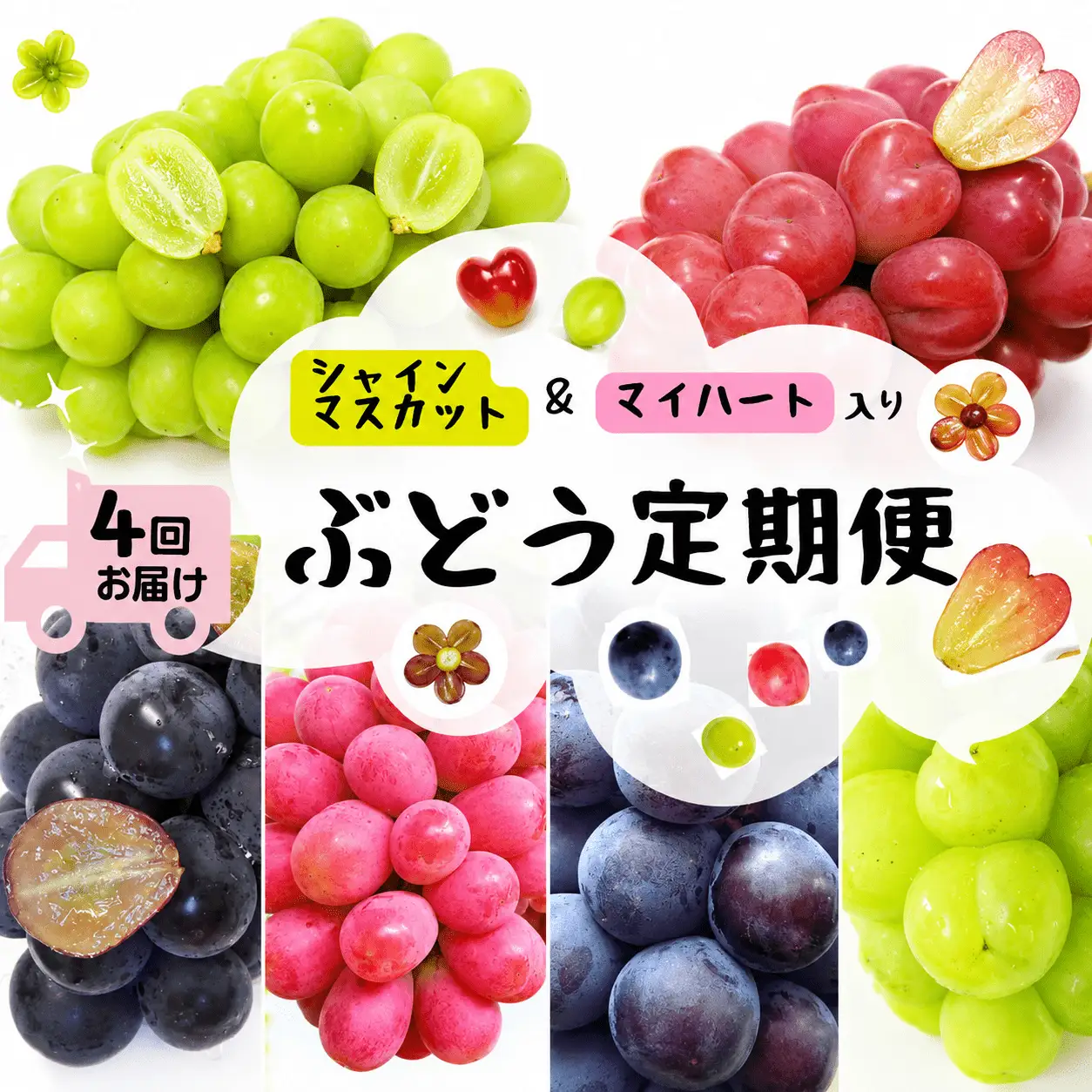 【4回定期便】 シャインマスカット 岡山県産ぶどう シャインマスカット入り定期便 【hfbd-tkb008-03】