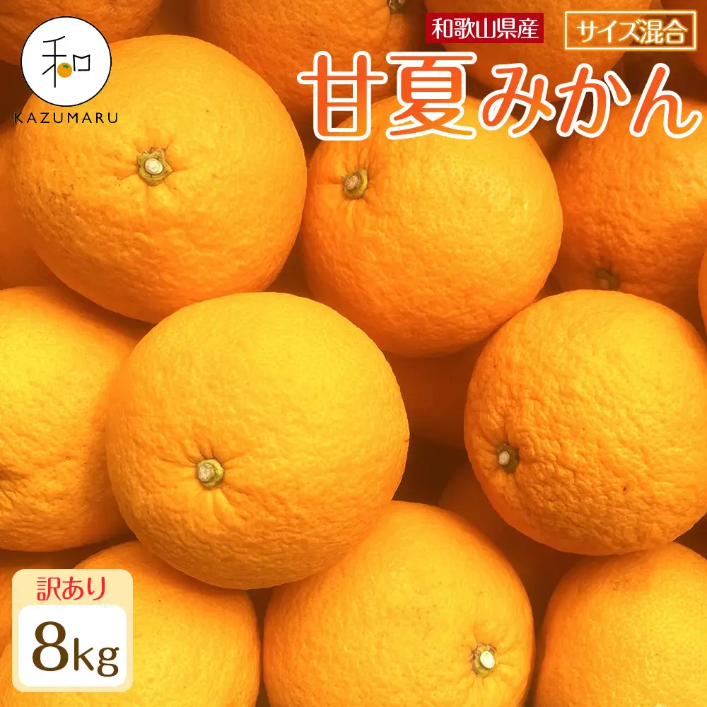 訳あり 森本農園の手選別 甘夏みかん 約8kg 和歌山県産 サイズ混合 ［北海道・沖縄・離島配送不可］［2027年4月上旬から順次発送］［RN75］
