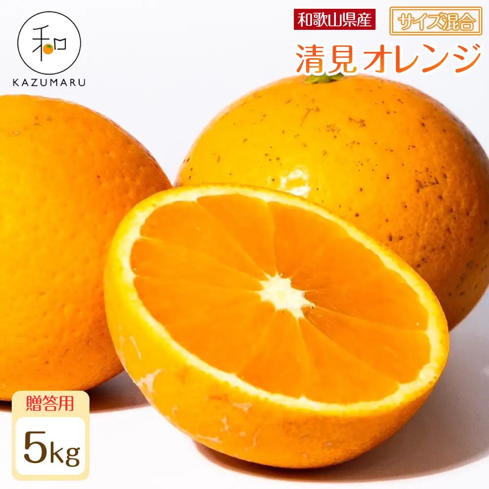贈答用 森本農園の手選別 厳選清見オレンジ 約5kg 和歌山県産 サイズ混合 ［北海道・沖縄・離島配送不可］［2027年2月上旬から順次発送予定］［RN89］