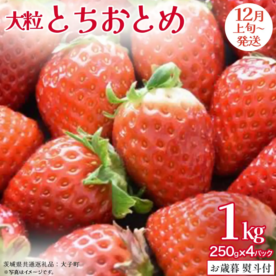【 お歳暮 熨斗付き 】 とちおとめ 250g（8～12粒）×4パック (茨城県共通返礼品：大子町)