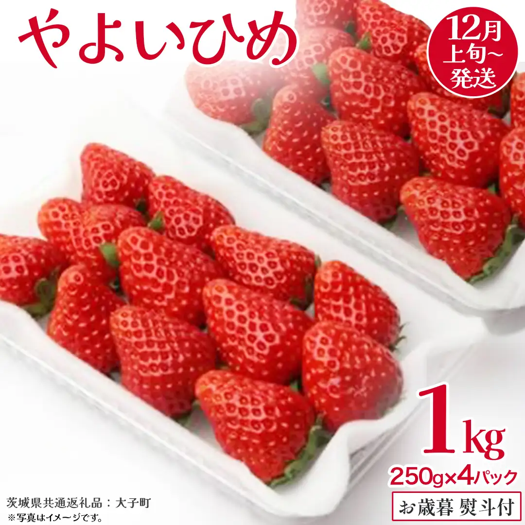 【 お歳暮 熨斗付き 】 やよいひめ 250g（8～12粒）×4パック (茨城県共通返礼品：大子町)