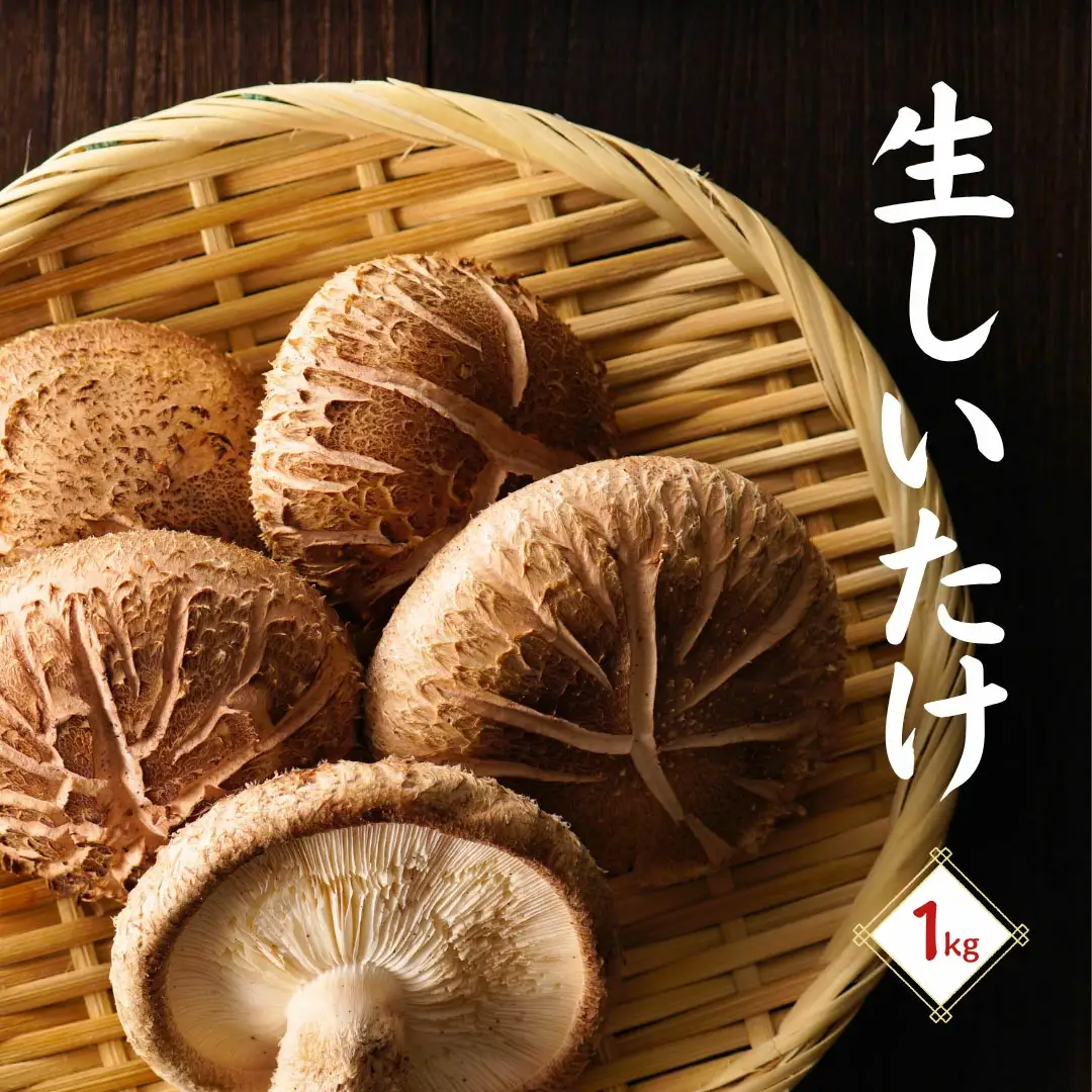 大分県産 しいたけ 津久見で育てた肉厚生しいたけ 1?s