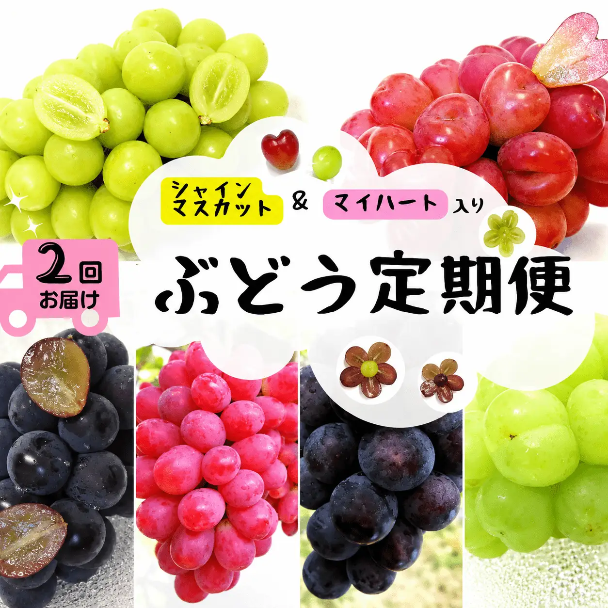【2回定期便】 シャインマスカット 岡山県産ブドウ シャインマスカット＆マイハート入り定期便2.4kg(４～６房)  【hfbd-tkb005-02】