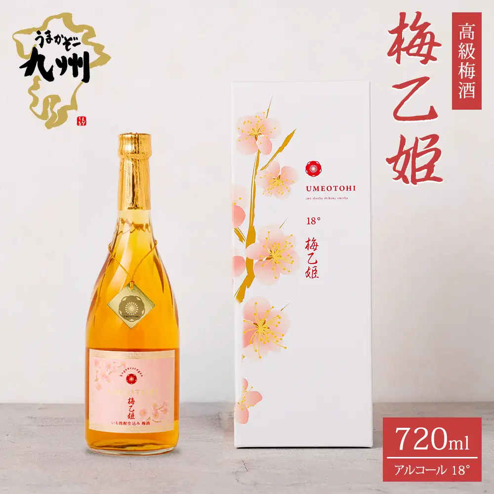 うまかぞー九州 本格梅酒 梅乙姫 720ml 梅酒 KN163-002 酒