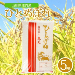 SZ0420　令和7年産【精米】ひとめぼれ　5kg×1袋 AK