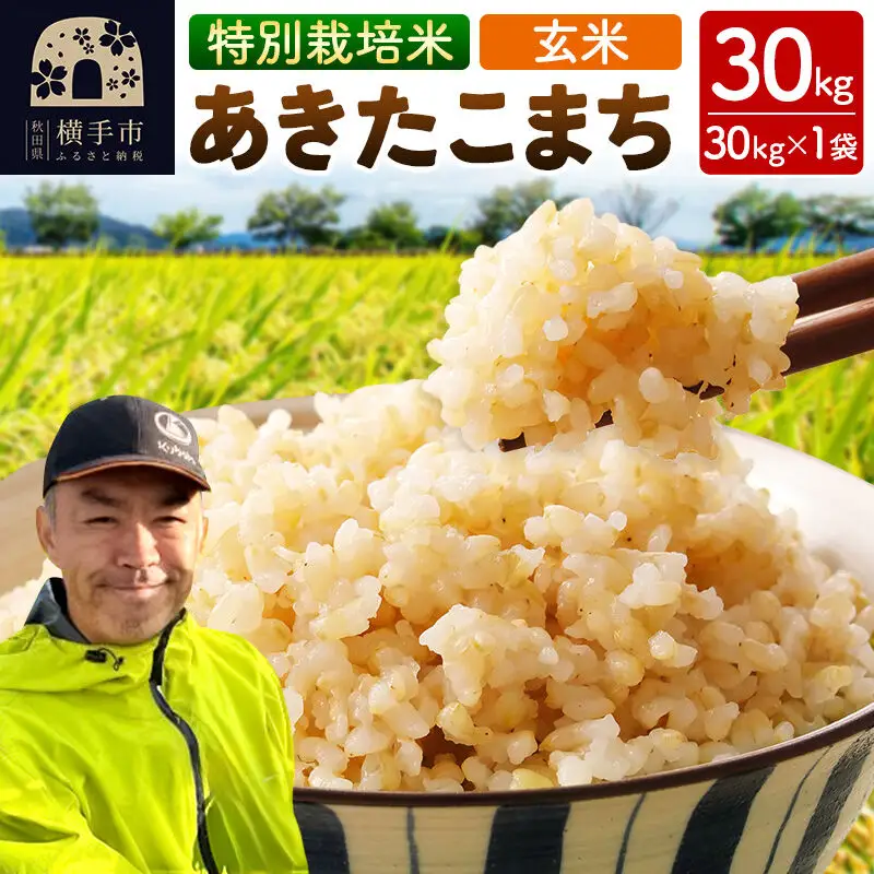秋田県 横手市 【玄米】令和7年産 特別栽培米 あきたこまち 30kg（30kg×1袋）