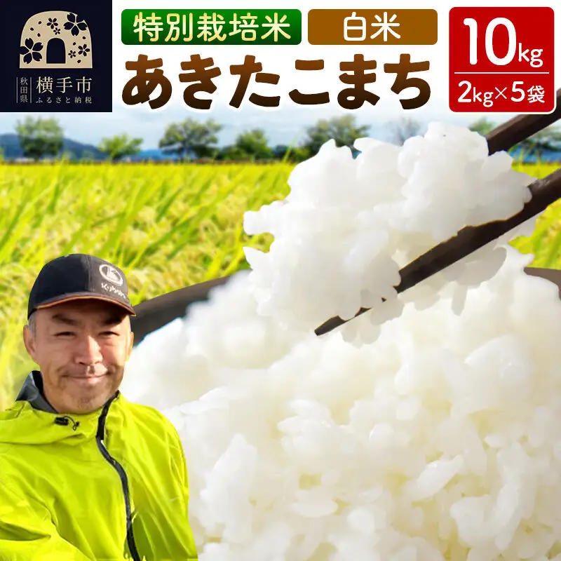 秋田県 横手市 【白米】令和7年産 秋田県産 特別栽培米 あきたこまち 10kg（2kg×5袋）