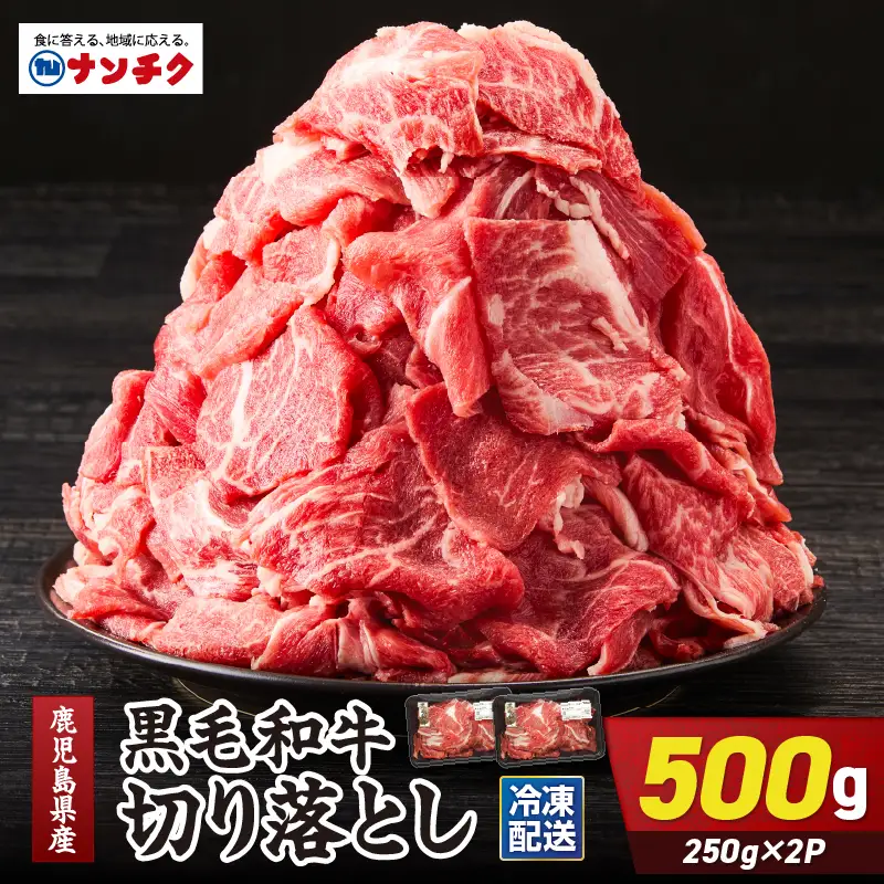 鹿児島県産 黒毛和牛 切り落し 計500g KN102-006-01 肉 牛肉 冷凍