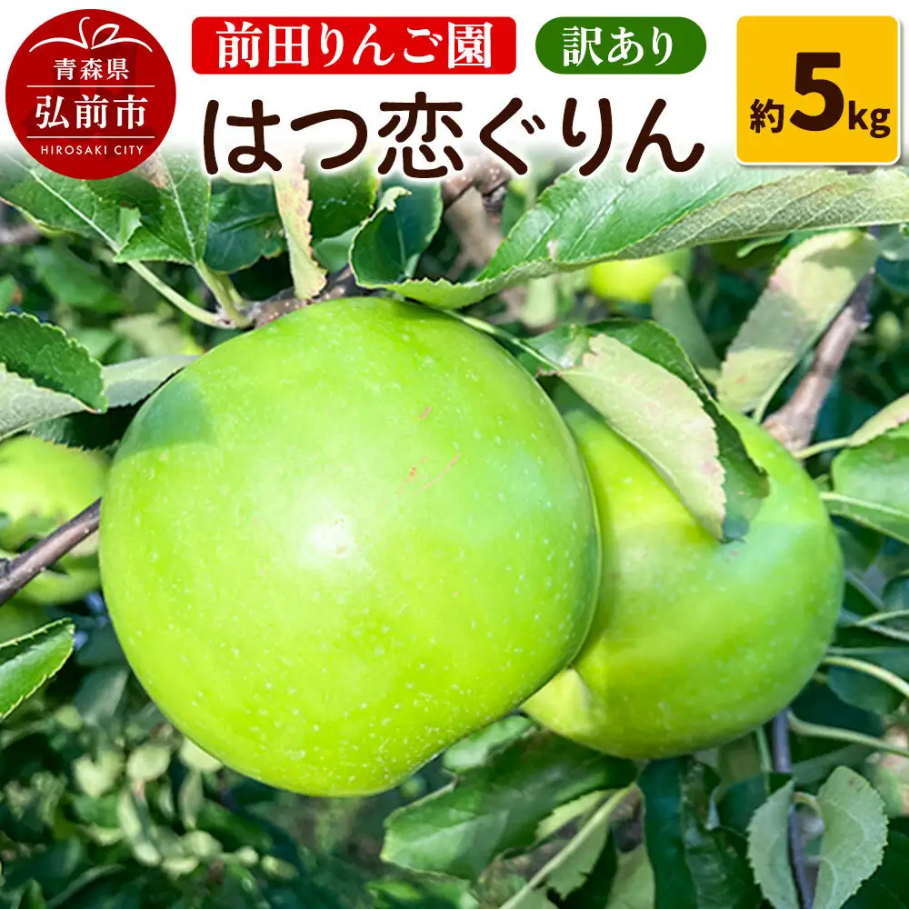 【26年10月～発送】りんご 【訳あり】 はつ恋ぐりん 約 5kg 前田りんご園