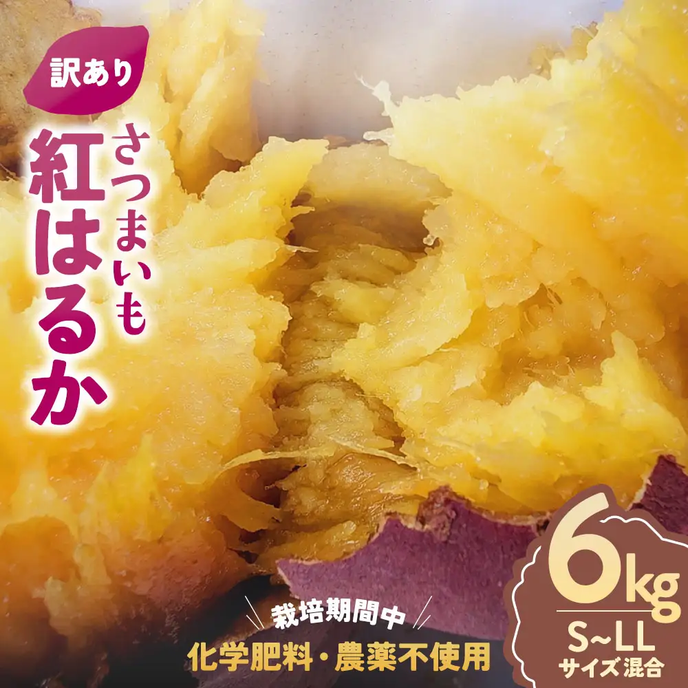 【訳あり】栽培期間中 無農薬 さつまいも （紅はるか）