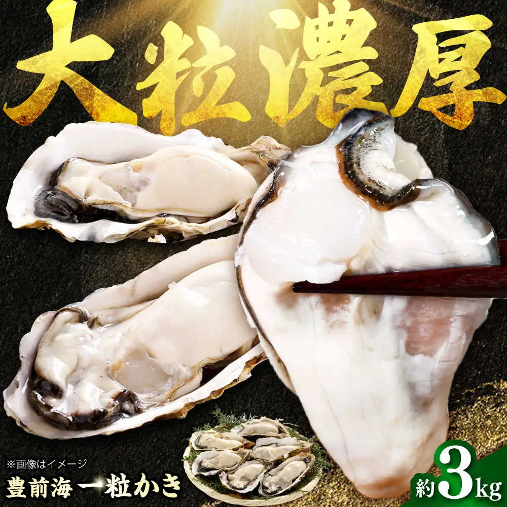 【先行予約】 豊前海 一粒かき 約3kg[BGBD002]牡蠣
