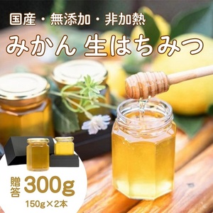 国産みかんはちみつ：伊豆の陽だまり みかんの生はちみつ（贈答用150g×2本） 1378 ／ Honey・D  国産 ハチミツ 非加熱 無添加 静岡県 東伊豆町