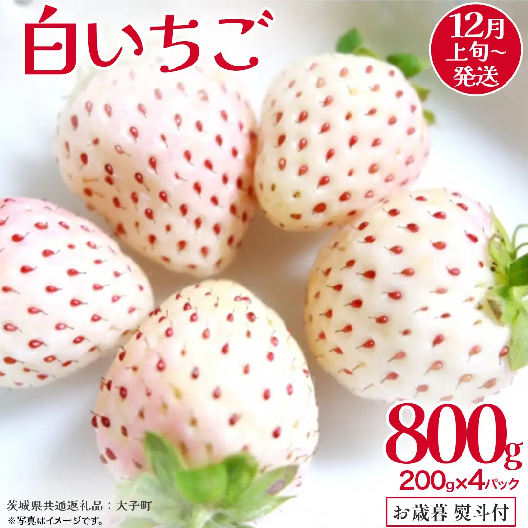 【 お歳暮 熨斗付き 】 白いちご 200g（8～12粒）×4パック (茨城県共通返礼品：大子町)