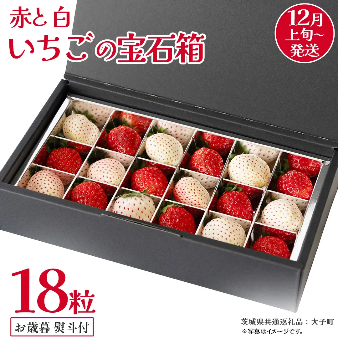 【 お歳暮 熨斗付き 】 赤いちご と 白いちご の宝石箱18粒 (茨城県共通返礼品：大子町)