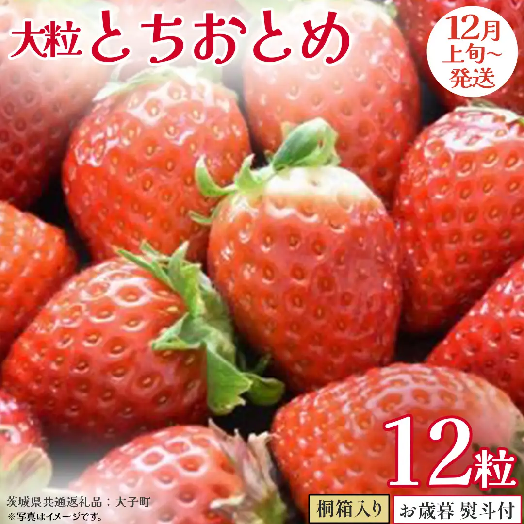【 お歳暮 熨斗付き 】 桐箱入り 大粒 とちおとめ 12粒 (茨城県共通返礼品：大子町)