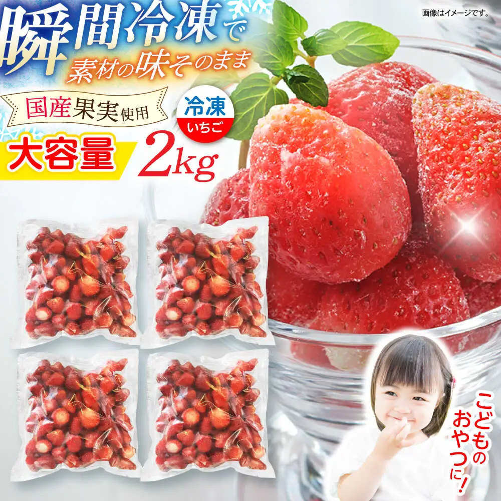 【業務用】大容量 長崎いちご 4袋セット / 冷凍 冷凍フルーツ いちご イチゴ 苺 2kg / 諫早市 / エスジーエス株式会社[AHEQ005]