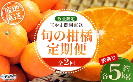みかん ミカン 蜜柑 柑橘 フルーツ 果物 果実