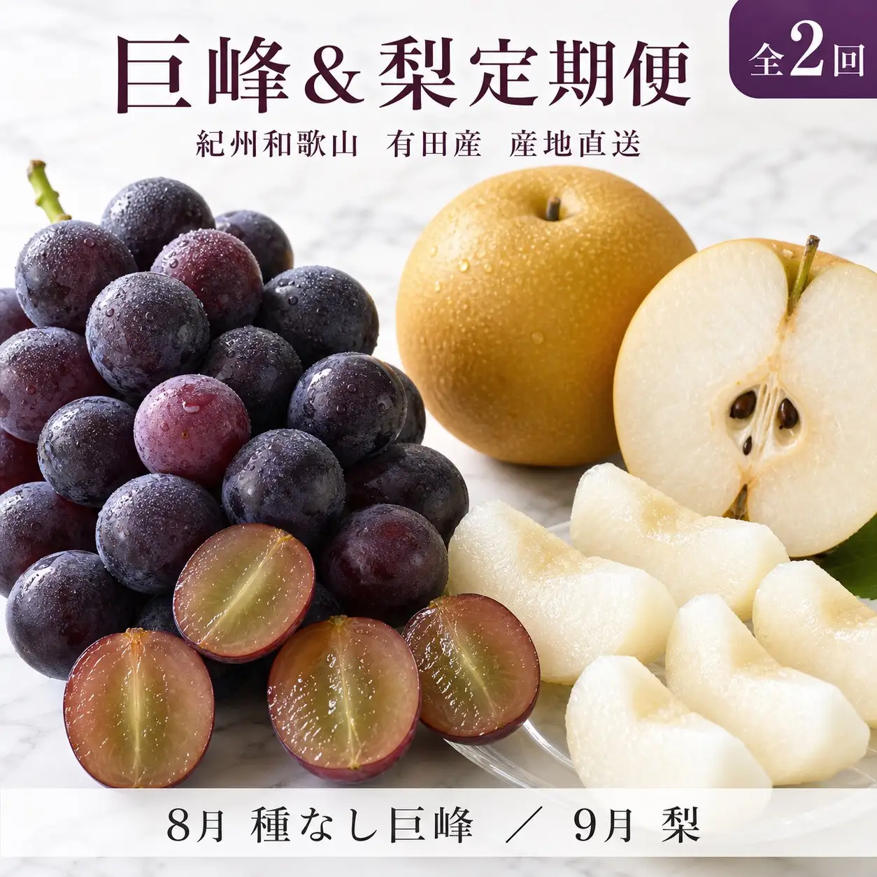 定期便 8・9月発送 紀州有田産旬のフルーツセット（種なし巨峰×2房（約800g〜1kg）・梨×3玉 化粧箱入）