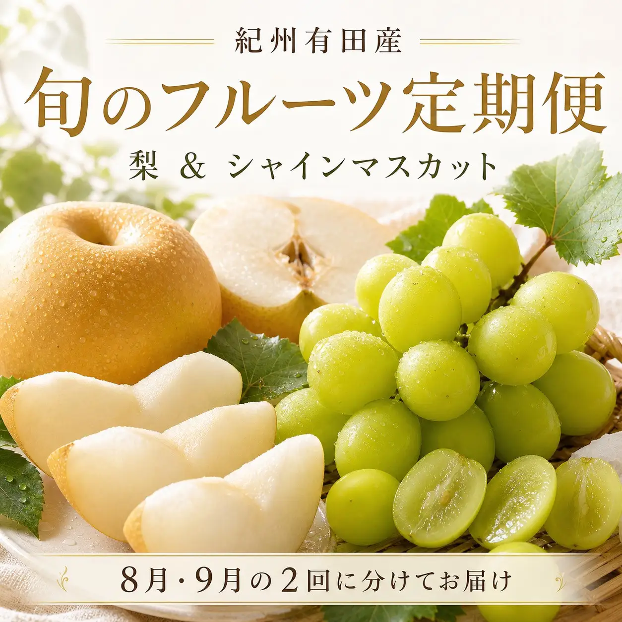 定期便 8・9月発送 紀州有田産旬のフルーツセット（梨×3玉 化粧箱入・シャインマスカット×2房（約1kg〜1.4kg））