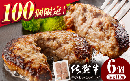 ハンバーグ 佐賀牛手ごねハンバーグ NAB133