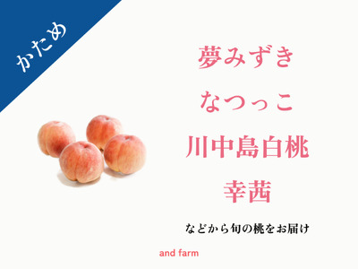 ＜2026年発送先行予約＞【かため桃】シャキッとかための桃好き必見！桃のリレーが楽しめる！約4kg （約10~12玉） ALPDS015