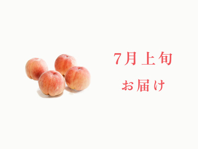 ＜2026年発送先行予約＞【7月上旬お届け】品種おまかせ！山梨県産の旬の桃 約4kg（約10～12玉） ALPDS017