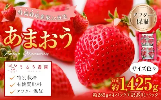 うるう農園のあまおう 4パック ＋ 1パック 合計5パック（約1425g） 訳あり あまおう （小粒・いびつ・大型） 【2027年3月上旬～4月上旬発送予定】 苺 いちご イチゴ 果物 フルーツ デザート 冷蔵