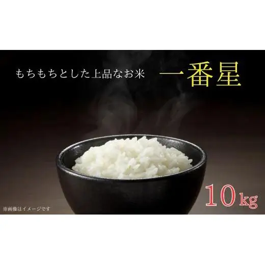 《 令和7年産 》米 もちもちで上品な食感「一番星」精米10kg ／ 米 こめ コメ お米 おこめ 一番星 白米 ごはん 令和7年産 10kg 茨城県 利根町 送料無料