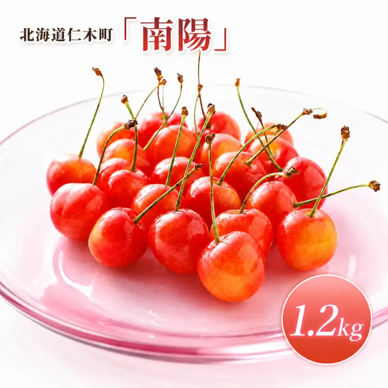さくらんぼ 1.2kg 南陽 Lサイズ以上 サクランボ