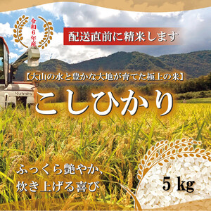 1110.令和6年産こしひかり精米5kg