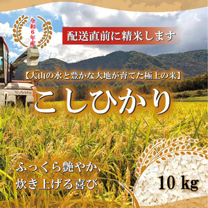1111.令和6年産こしひかり精米10kg