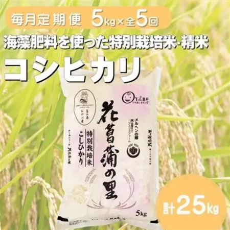 【毎月定期便】特別栽培米コシヒカリ(花菖蒲の里)(精米)5kg全5回【4075013】