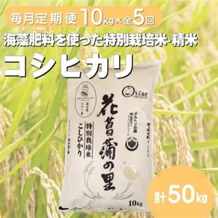 【毎月定期便】特別栽培米コシヒカリ(花菖蒲の里)(精米)10kg全5回【4075016】