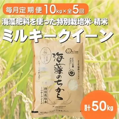 【毎月定期便】ミルキークイーン(海藻のちから)(精米)10kg全5回【4075148】