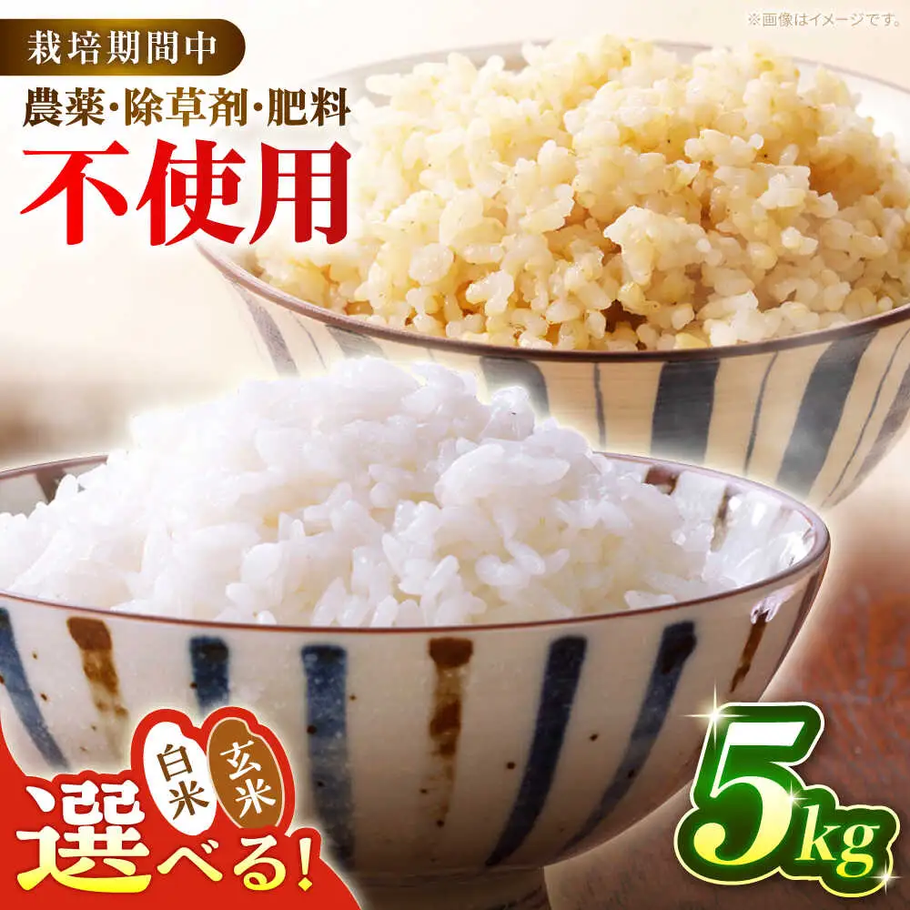 令和7年産 米 5kg 黒川つばくろ農園[AWCB001]米