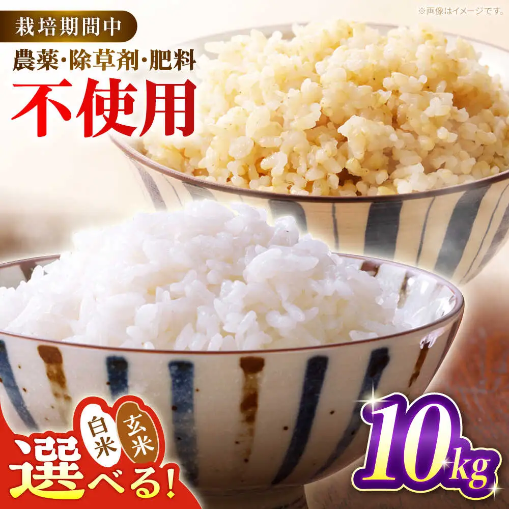 令和7年産 米 10kg 黒川つばくろ農園[AWCB002]米
