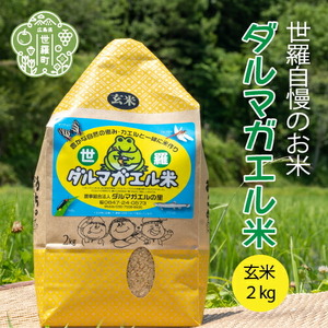 【令和7年産】世羅 ダルマガエル米 玄米 2kg お米 ごはん ご飯 米 世羅産 世羅米 あきろまん A055-01
