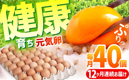 【12ヶ月定期便】健康育ちの元気卵 40個 [AMBH008] 卵