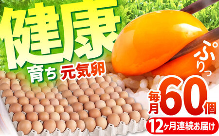【全12回定期便】元気卵 60個 卵 AMBH011 