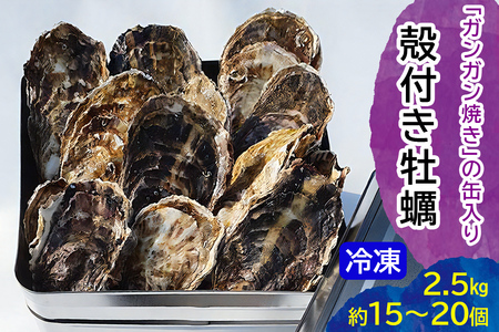 オレのガンガン焼き 広島県大竹市産 冷凍殻付牡蠣 2.5kg (約15個から20個) [2620]