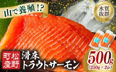 【森の国で養殖】滑床トラウトサーモン 500g（250g×2P） ｜ 刺身 小分け 切り身 ふるさと納税 国産 冷凍 ※離島への配送不可