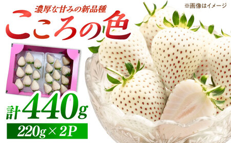 【先行予約 2027年2月～発送】こころの色 220g×2パック いちご