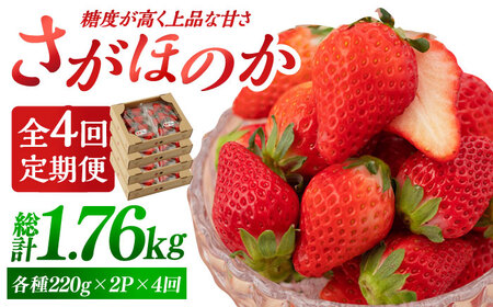 【先行予約 2027年1月～発送】【4回定期便】さがほのか 220g×2パック×4回 いちご
