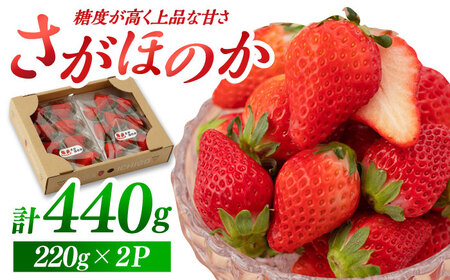 【先行予約 2027年1月～発送】さがほのか 220g×2パック いちご